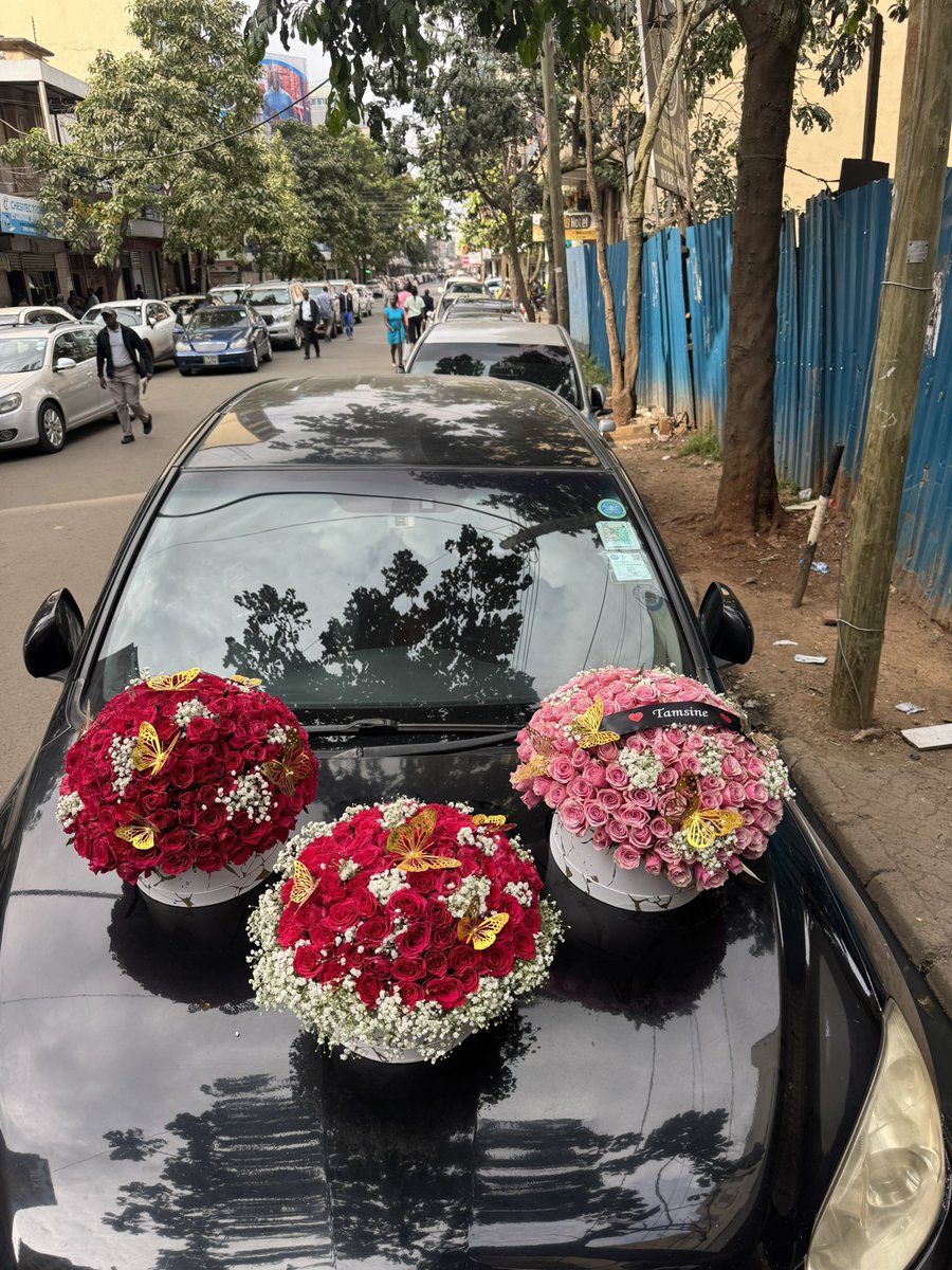 Rosecab_flowers's tweet photo. It’s a beautiful morning 🥰🥰 https://t.co/nN5aQfrqD0