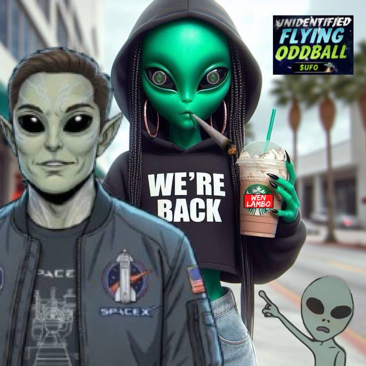 Unidentified Flying Oddball tweet media