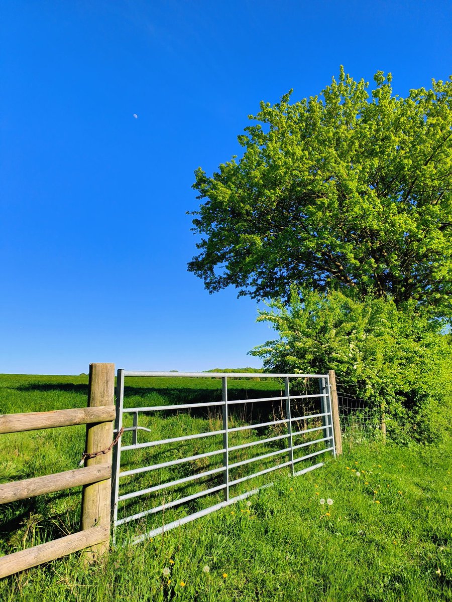 LadyGrace27's tweet image. Just a simple gate to a slower world...💚

#Thursgate #gates #countryside #fields
#slowliving #countrylife