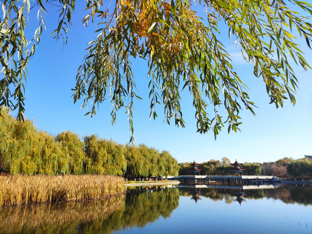 abura4708's tweet image. New semester, new goals! Ready to turn fresh pages, meet new faces, and chase dreams Let’s make this term UNFORGETTABLE!  #BackToSchool #NewSemesterVibes