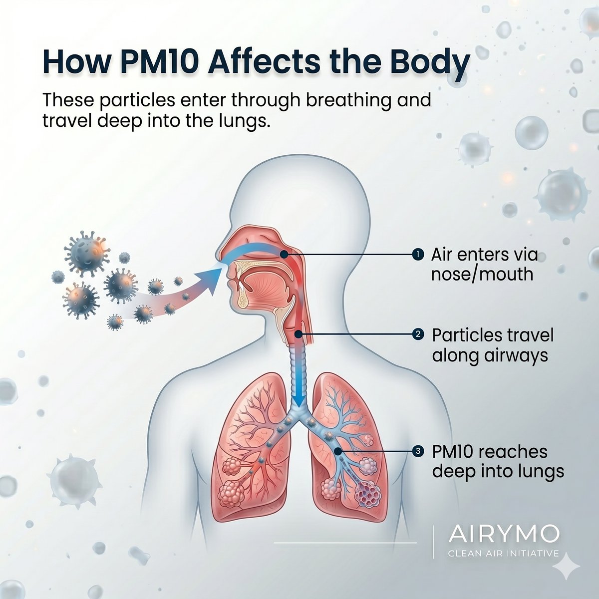 airymo_official's tweet image. PM10 Impact
PM10 may be larger than PM2.5…
But still harmful.
Dust, pollen, and emissions can damage your lungs.

#PM10 #AirPollution #RespiratoryHealth #BreatheClean #AirPurifier #EnvironmentalAwareness #HealthyLiving #PollutionSolution #Airymo #AirymoOfficial