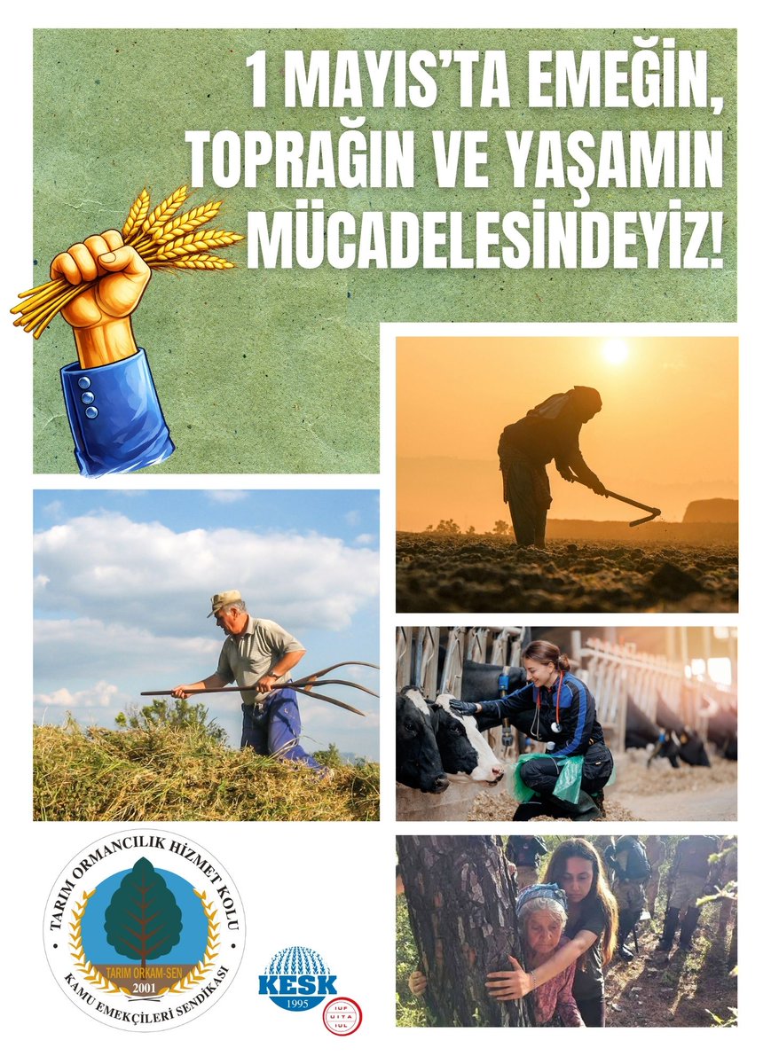 TARIM_ORKAM_SEN's tweet photo. 1 MAYIS’TA EMEĞİN, TOPRAĞIN VE YAŞAMIN MÜCADELESİNDEYİZ!
1 Mayıs, yalnızca bir bayram değil; sömürüye, talana ve eşitsizliğe karşı emeğin ve yaşamın ortak mücadele günüdür!
TARIM ORKAM-SEN olarak; madencilerin, köylülerin, tarım işçilerinin, kamu emekçilerinin, ev emekçisi kadınların ve doğayı savunan herkesin yanındayız.
Çünkü biliyoruz:
Emeğin olmadığı yerde yaşam, Toprağın olmadığı yerde gelecek, Dayanışmanın olmadığı yerde adalet olmaz!
1 Mayıs’ta bir kez daha haykırıyoruz:
Yaşasın örgütlü mücadelemiz!
Yaşasın 1 Mayıs!