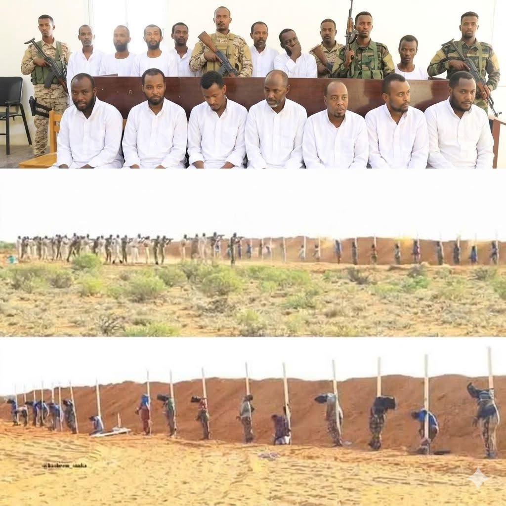 Diokparaigbo's tweet image. Eighteen Convicted Al-shabab Terrorists Executed In Northeast Somalia

In Nigeria they are pardoned and recruited into the Army and sent to the southern Nigeria to ki\\ and massacre  more people.

Most of the people at awukuzu Sars in the east are not igbos

#wakeup