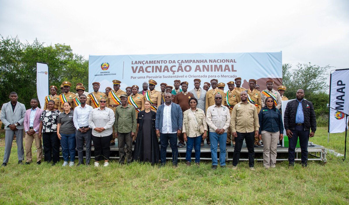 FAOMozambique's tweet image. Mozambique launches the 2026 National Animal Vaccination Campaign 🇲🇿 

In support to MAAP, @FAO provided 62 000 foot-and-mouth disease (FMD) vaccines. 

This initiative will protect livestock, strengthen food security, &amp;amp; safeguard rural livelihoods. 

#AnimalHealth #FoodSecurity