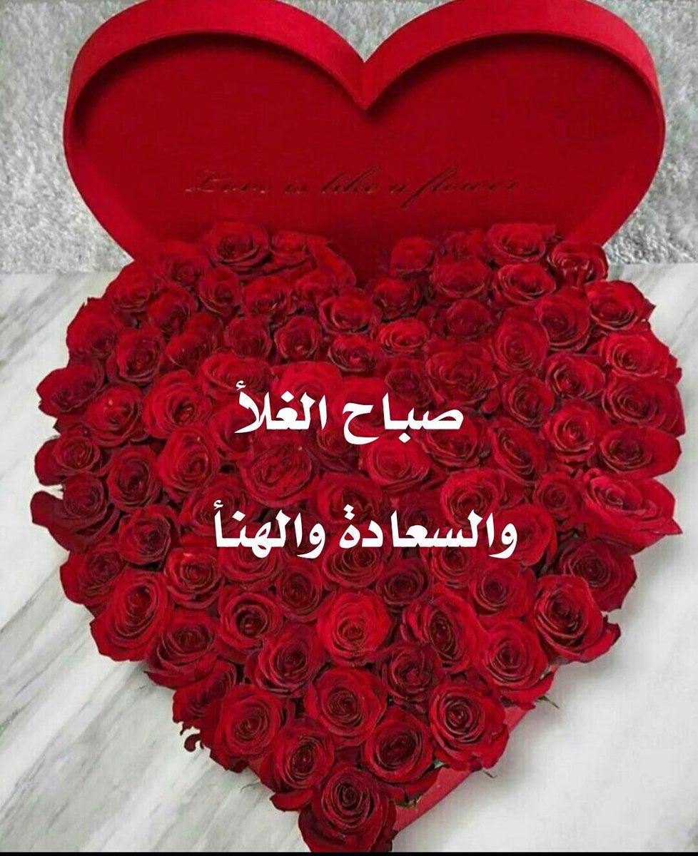 سعد العتيبي tweet media