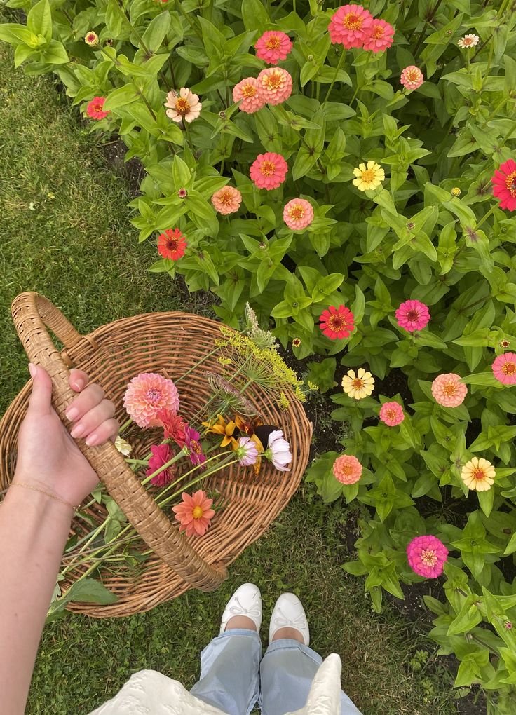 Jiya 🦚 tweet media