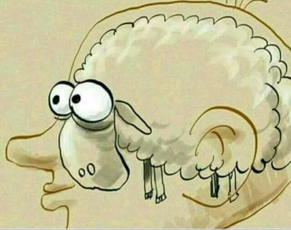 Autonomous0000🎒 tweet media