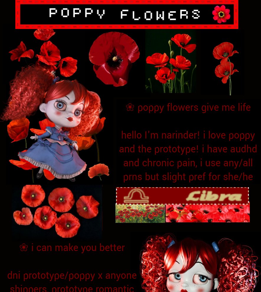 narinder 🕷️ tweet media