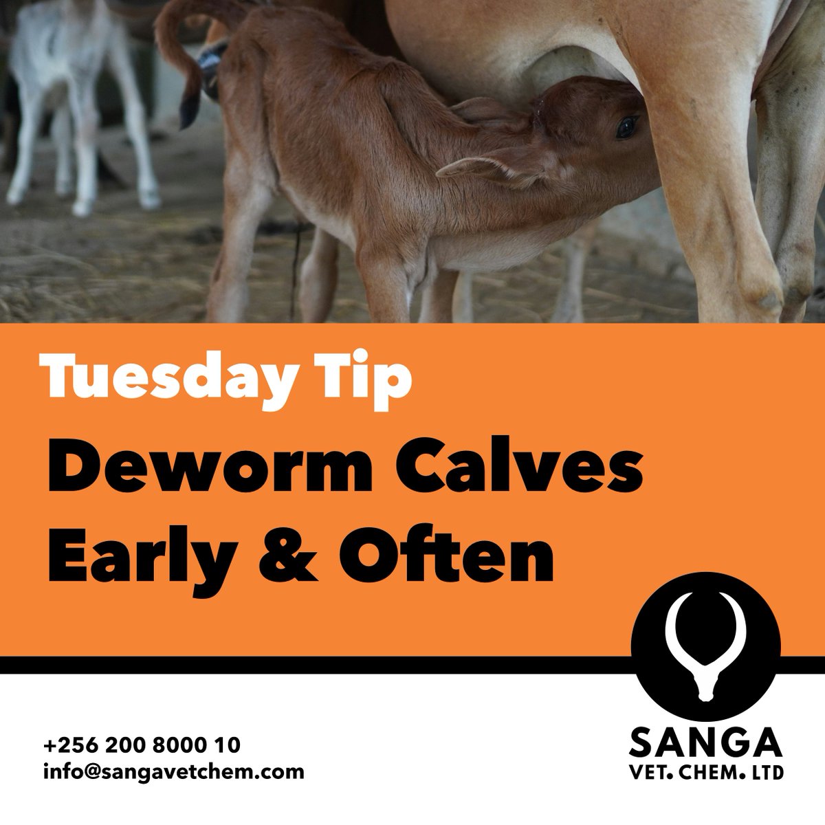 Sanga Vet. Chem. Ltd tweet media
