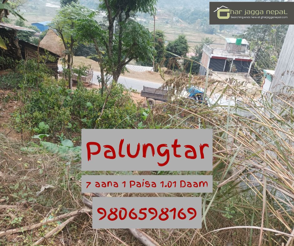 GharJaggaNepal's tweet image. पालुङ्गटार गोर्खा - ८ मिटर बाटो भएको 232. 48 वर्ग मिटर ( 7 aana 1 Paisa 1.01 Daam ) बिक्रीमा - मूल्य चलनचल्ती अनुसार सहमतिमा तय हुने - जग्गा धनि सिधा सम्पर्क : 9806598169 

#gharjagganepal #landforsale #palungtar #gorkha #foryoupage #gharghaderi