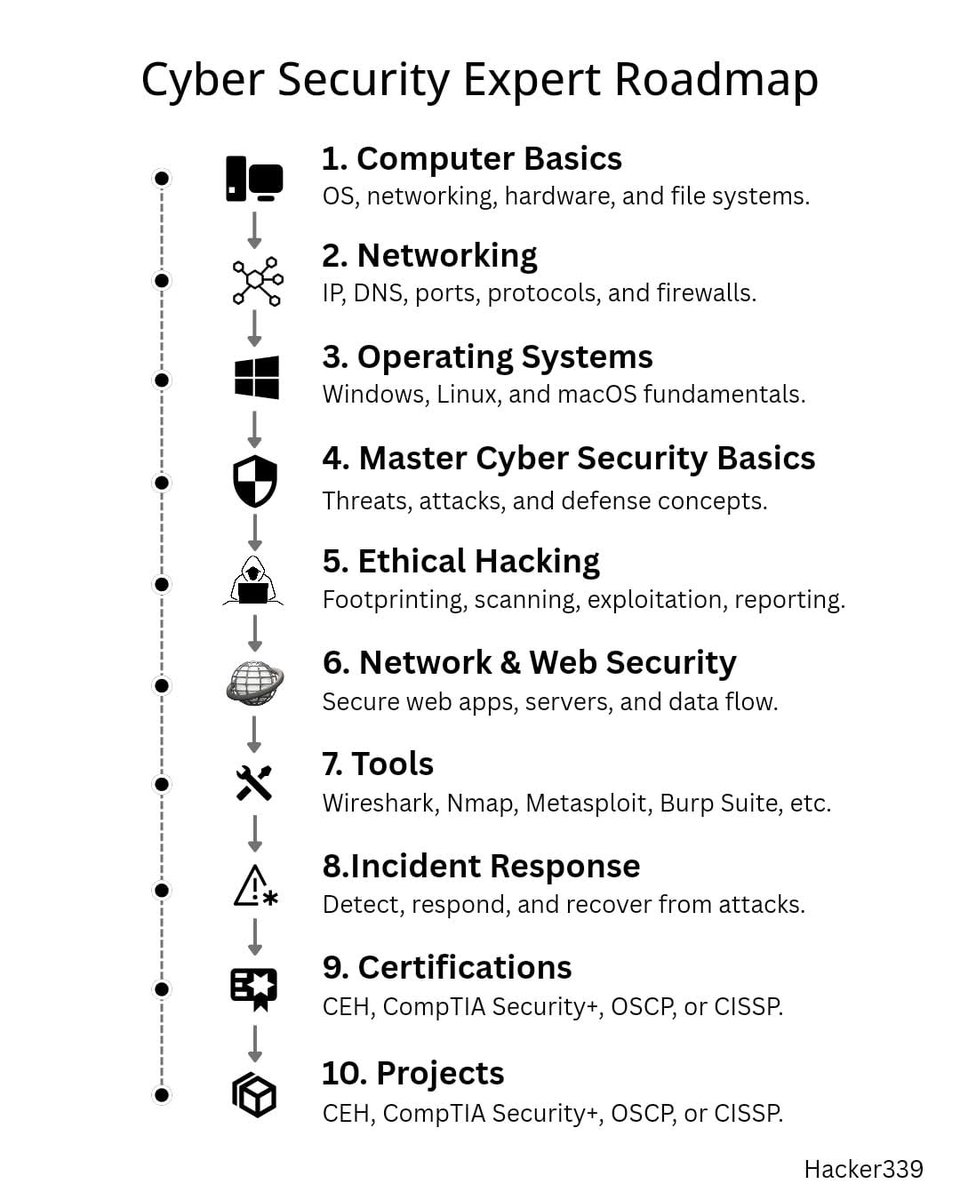 Cyber Security Expert Roadmap