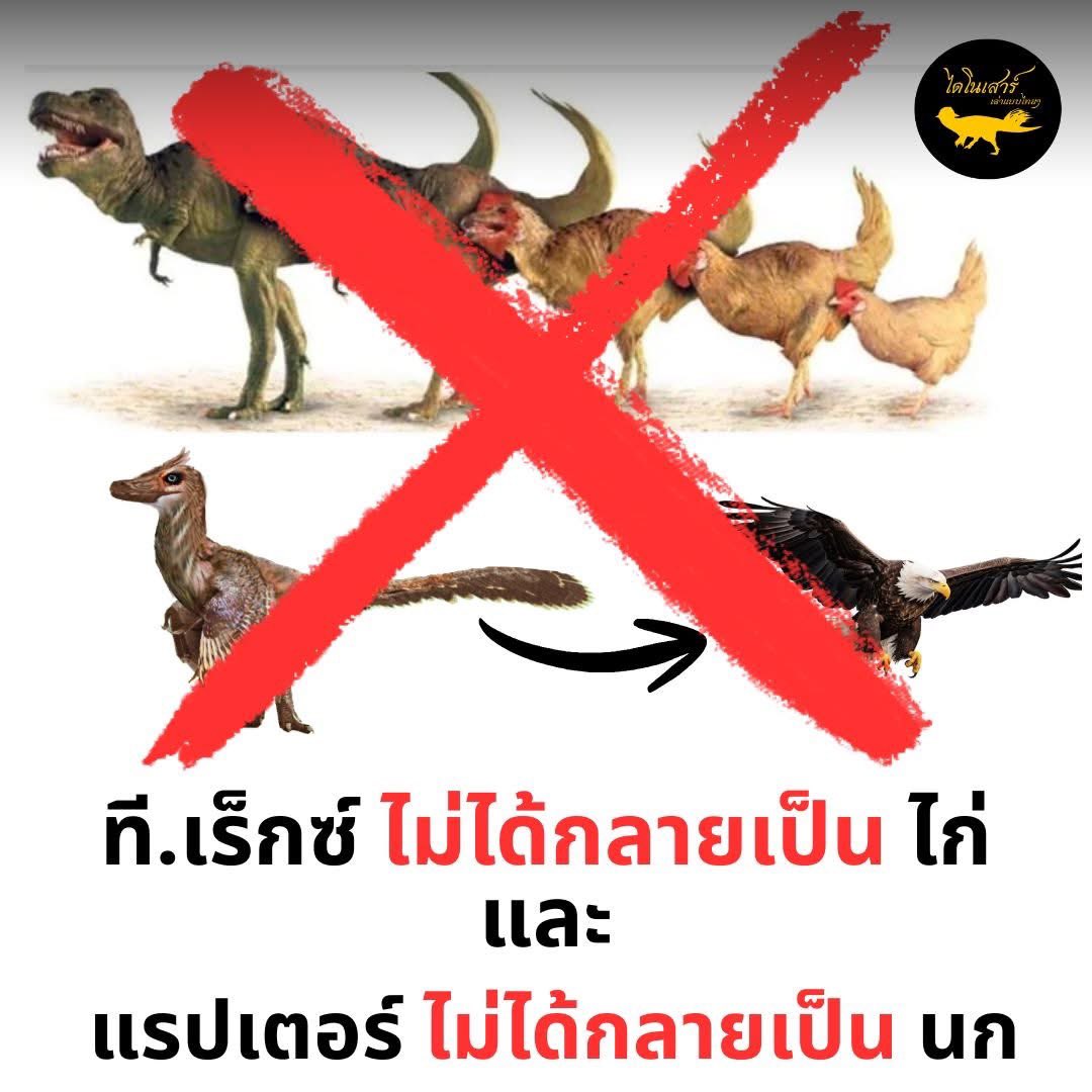ไดโนเสาร์เล่าแบบไทยๆ tweet media