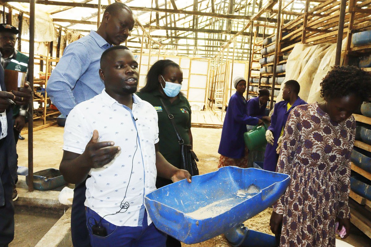 jaffari2005's tweet image. @icipe,@chandle55145873,@NaroBugizardi,@beritamutune,@tchagomoka.
A highlight of the visit was touring Darwish Foods Ltd, where innovation is turning black soldier flies and organic waste into valuable organic manure. A practical model. #circular  #OrganicFarming #BlackSoldierFly