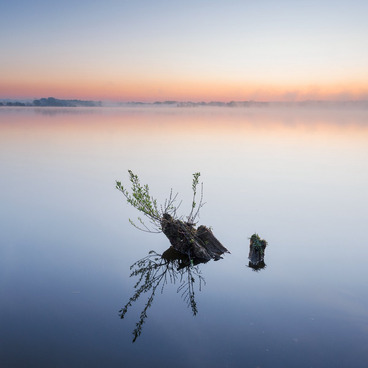 martas_'s tweet photo. Calm morning by the lake https://t.co/TH6gWt4f99