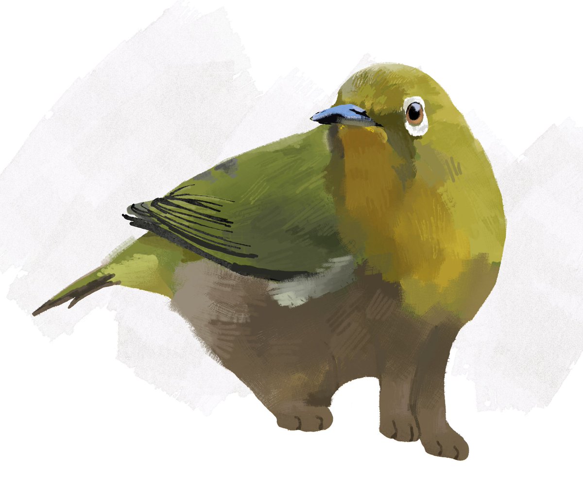 finch tweet media