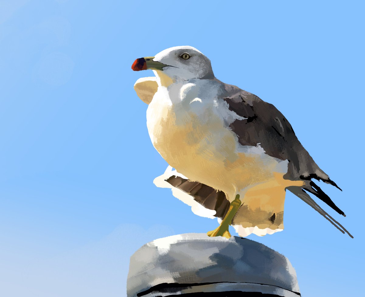 finch tweet media