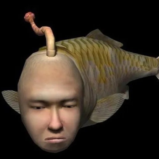 あらふぃ〜ぱっち tweet media