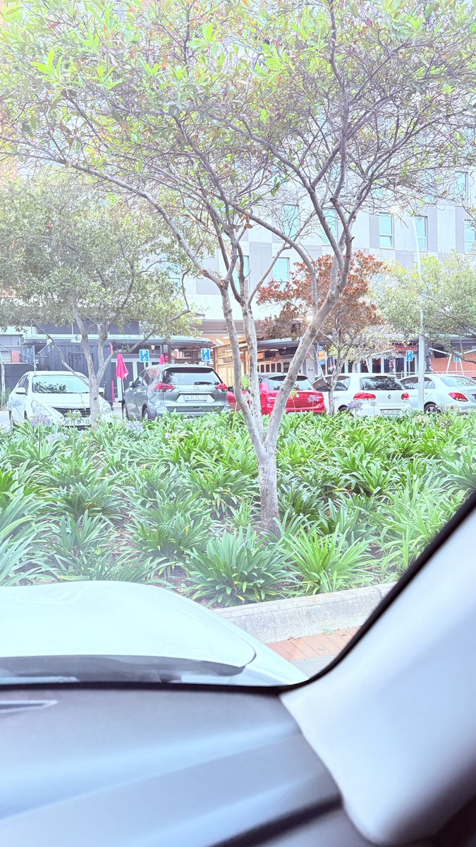 mahlalelaesthe1's tweet image. Thursday are for coffee
#coffee #selflove #seatlecoffee