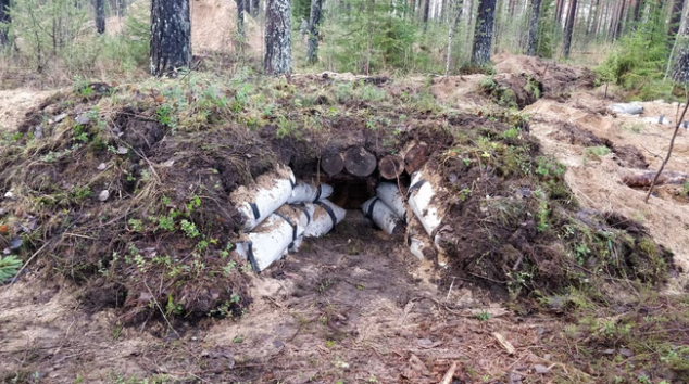 Tomi 🇺🇦🇫🇮🇪🇺 tweet media