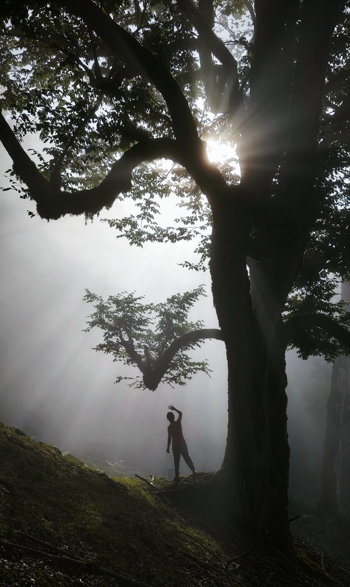 امیرسام tweet media