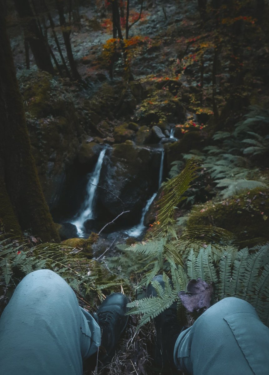 امیرسام tweet media