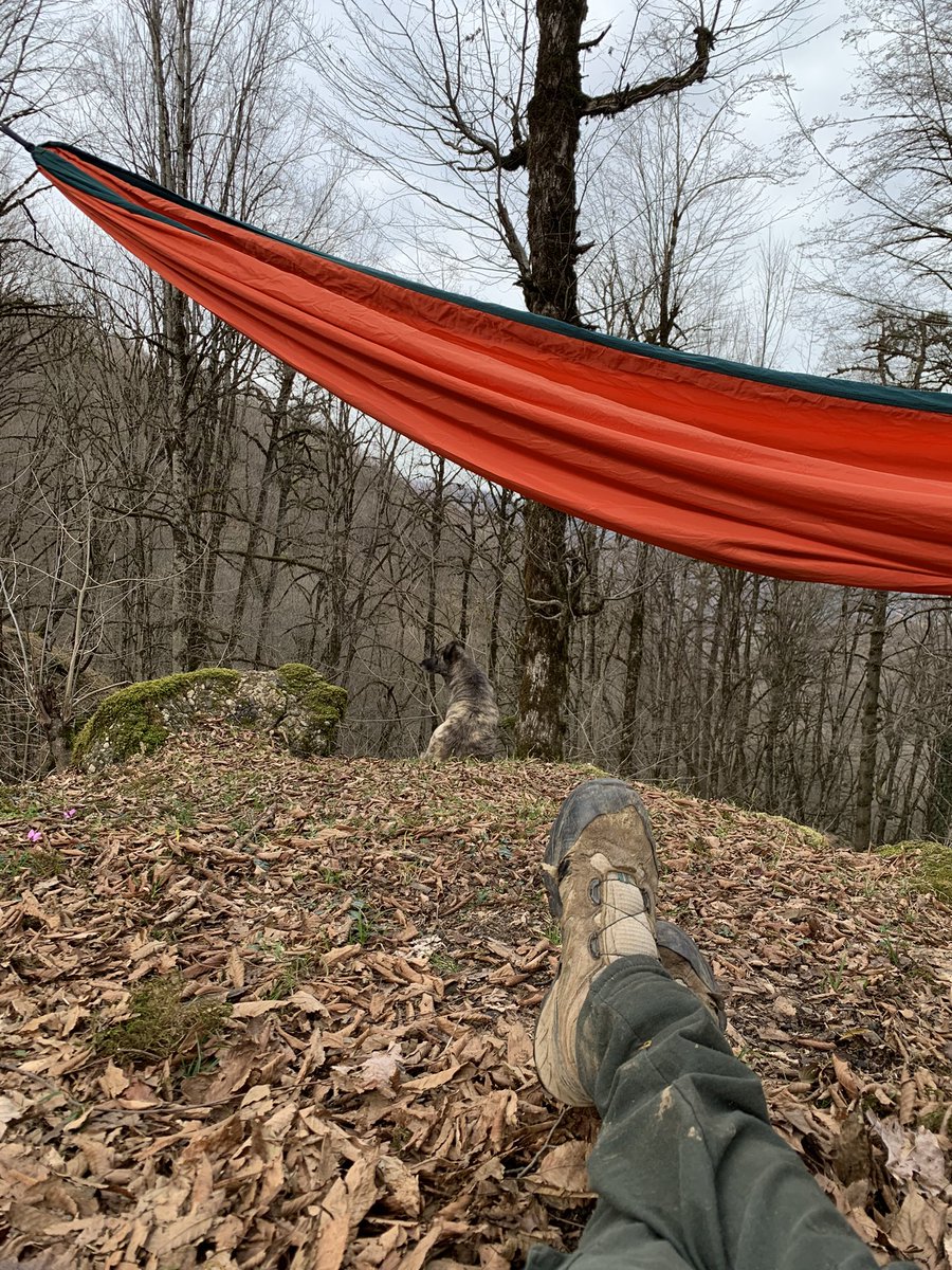 امیرسام tweet media