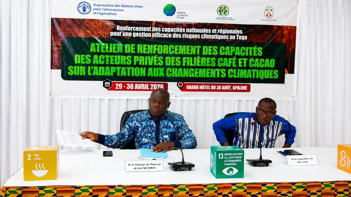 republicoftogo's tweet image. Il y a des vérités que l'on préférerait ne pas entendre. En voici une : d'ici 2050, plus de la moitié des zones actuellement propices à la #culture du #café et du #cacao au #Togo pourraient devenir climatiquement inadaptées. Les cultures seraient repoussées vers des altitudes