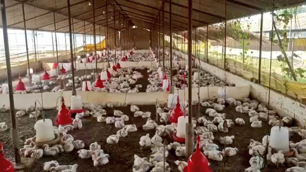 Sachin Gupta tweet media