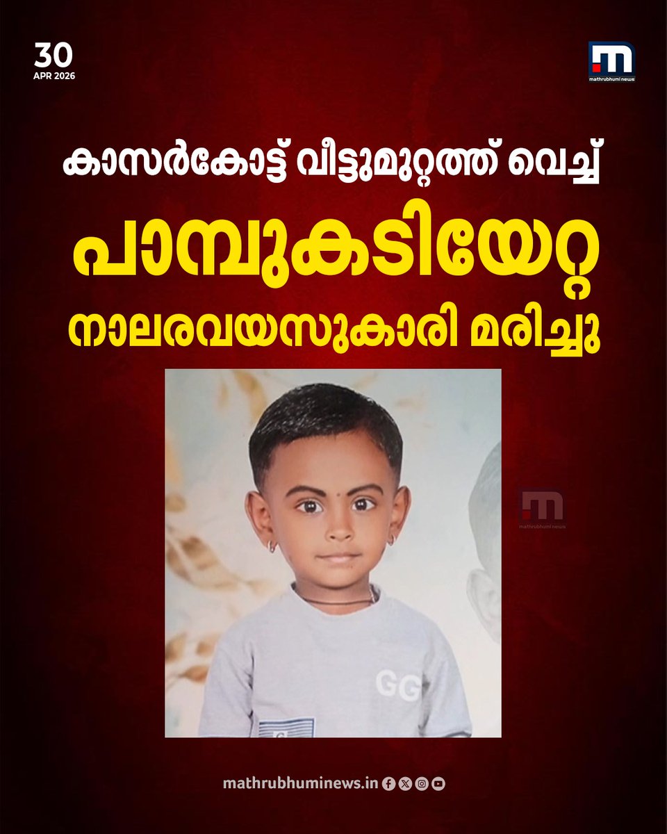 mathrubhuminews's tweet photo. കാസർകോട്ട് വീട്ടുമുറ്റത്ത് വെച്ച് പാമ്പുകടിയേറ്റ നാലരവയസുകാരി മരിച്ചു. പരിയാരം മെഡിക്കൽ കോളജിൽ ചികിത്സയിലായിരുന്നു
#Kasaragod #SnakeBite #SnakeBiteDeaths #SnakeBiteFatalities https://t.co/TadEBFX9f4