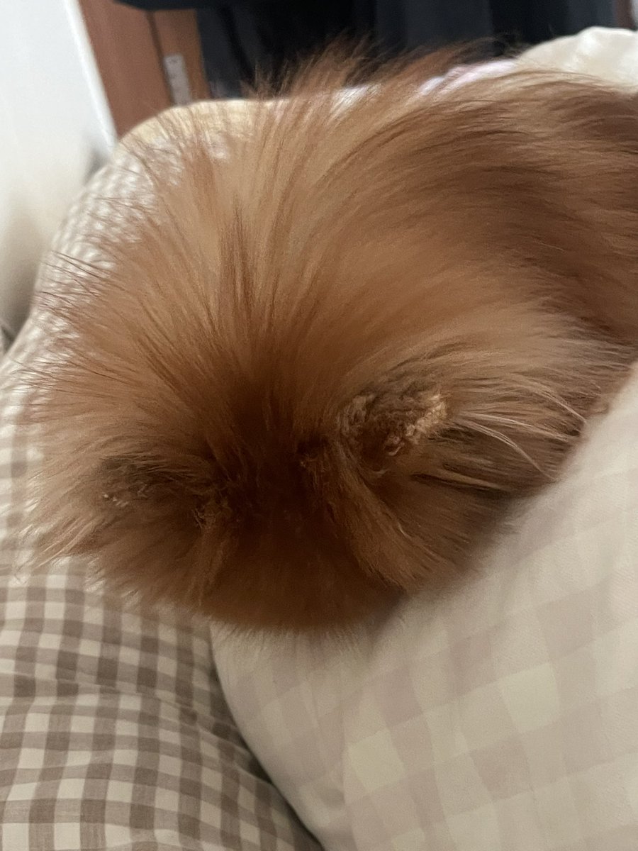 뭐가문제니 tweet media