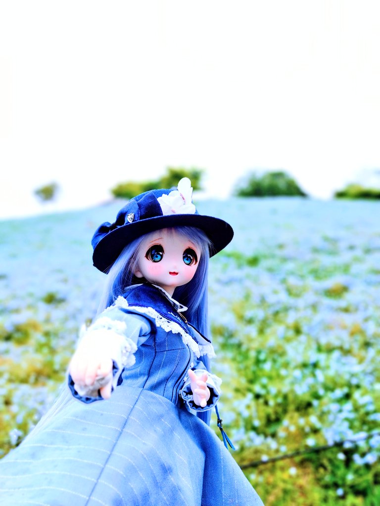 大道寺知夫 tweet media