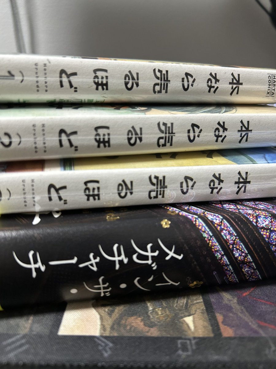 mgrs0110's tweet photo. 気になってた本とマンガをまとめ買い。
イン・ザ・メガチャーチは職場にあったのを３分の1くらい読んで、正直「これ何の話...？」ってなって続きが気になって買ってしまいました。
少しずつ読んで行きたいと思います！📕 https://t.co/mNvNTYQFk0