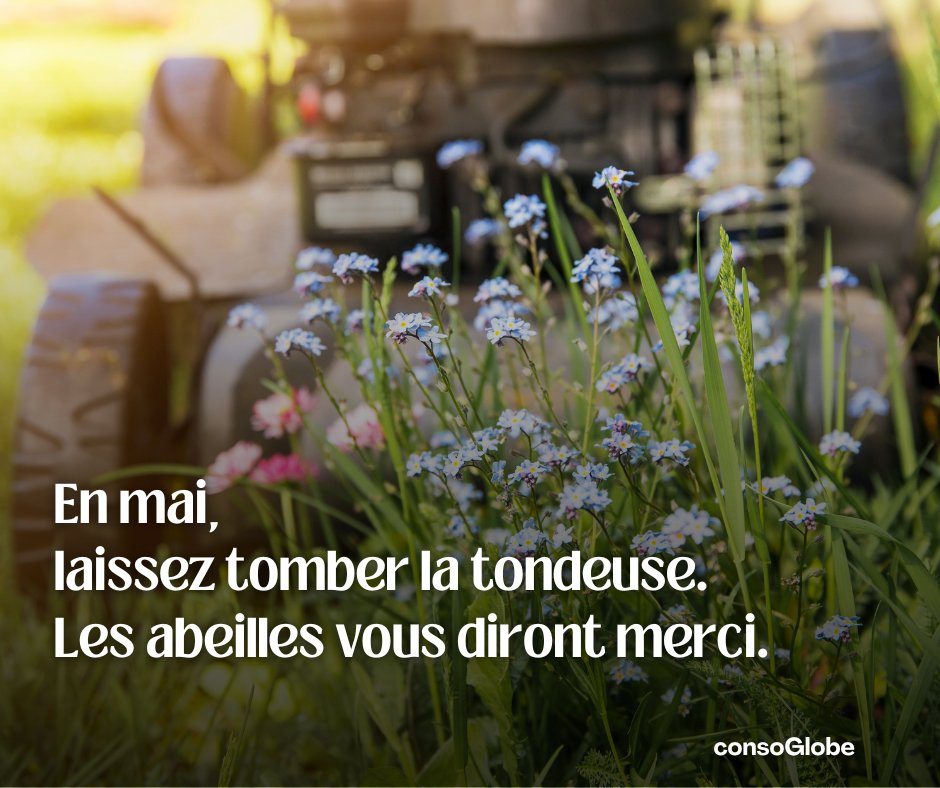 consoGlobe.com tweet media