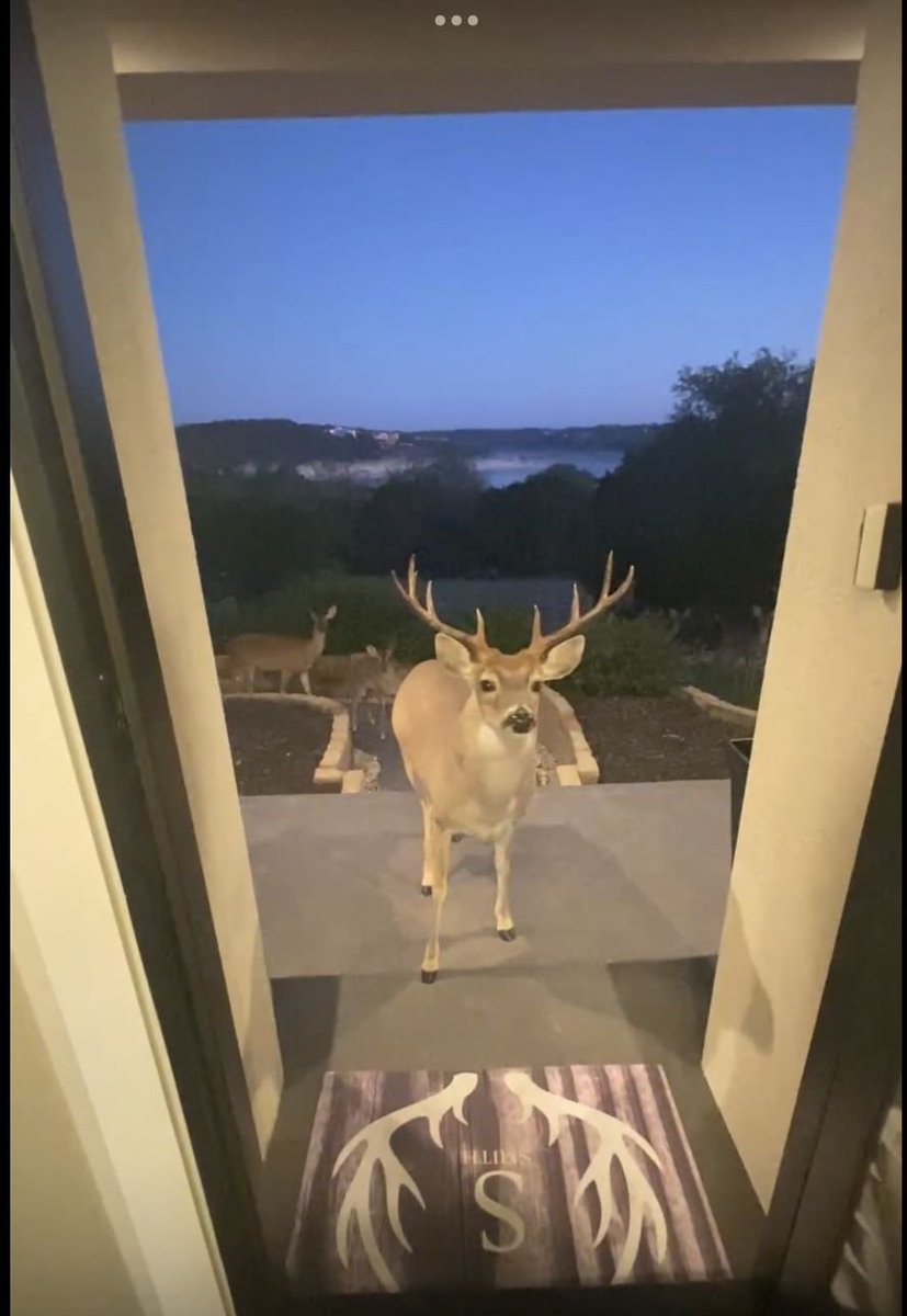 John fawn tweet media