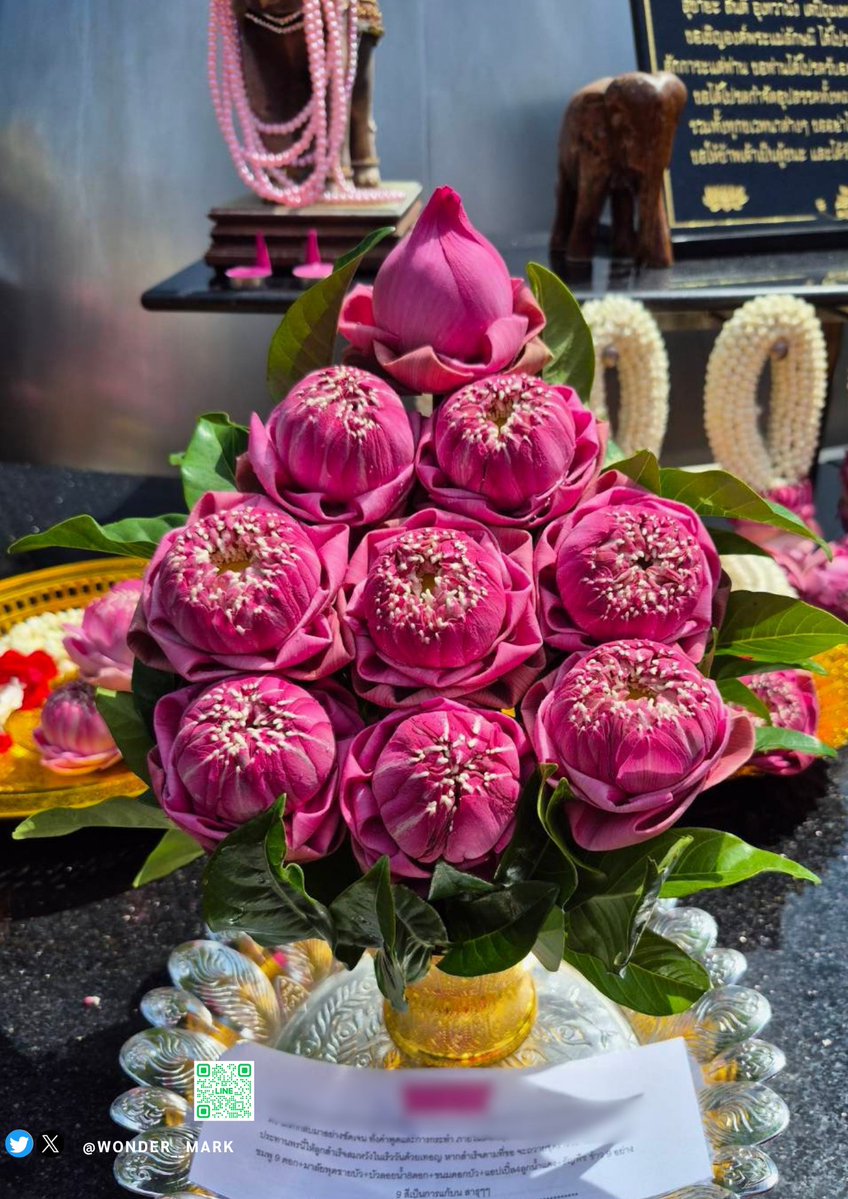 WONDER MARK💕 tweet media