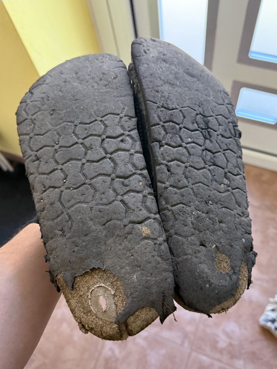 Michal Ševčík tweet media