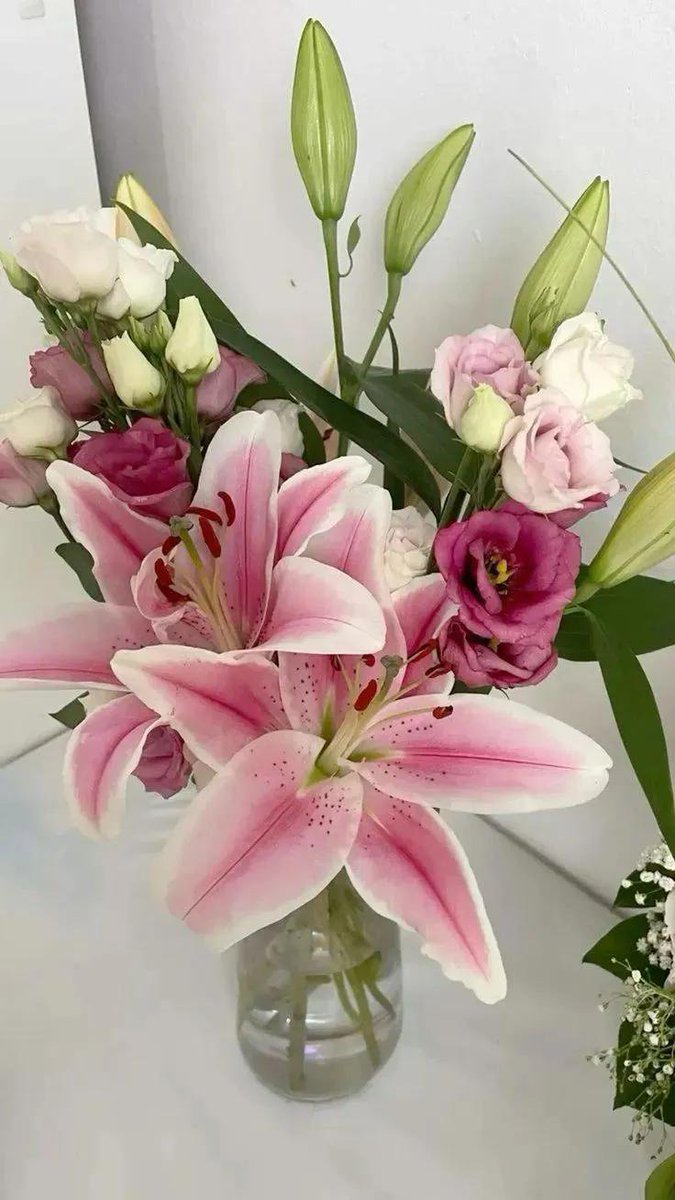 Soft Petals tweet media