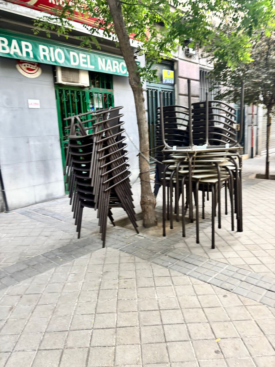 AV 'El Organillo' tweet media