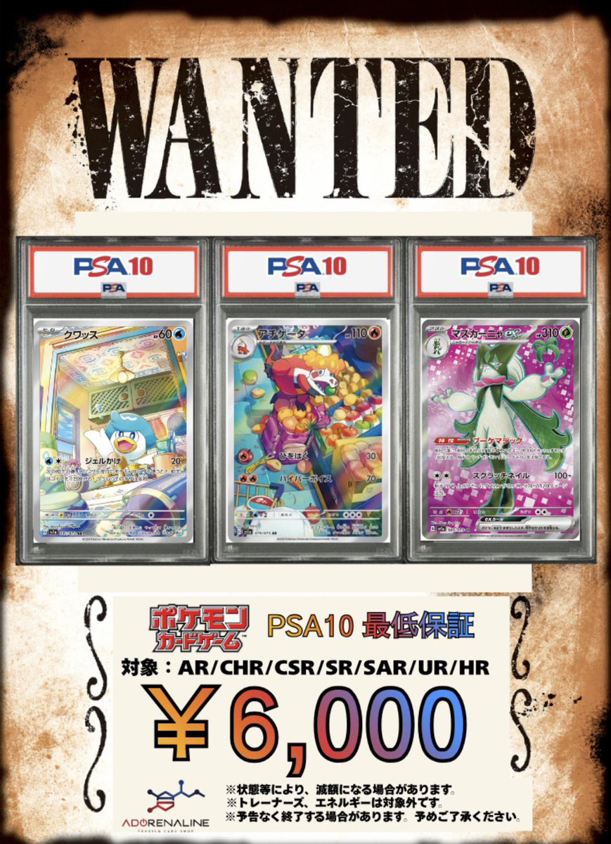 SR 責任の取り方 アーリャ psa10 PSA10 Pokemon Card Sightseer SR 192/173 Tag Team GX Japanese sm12a