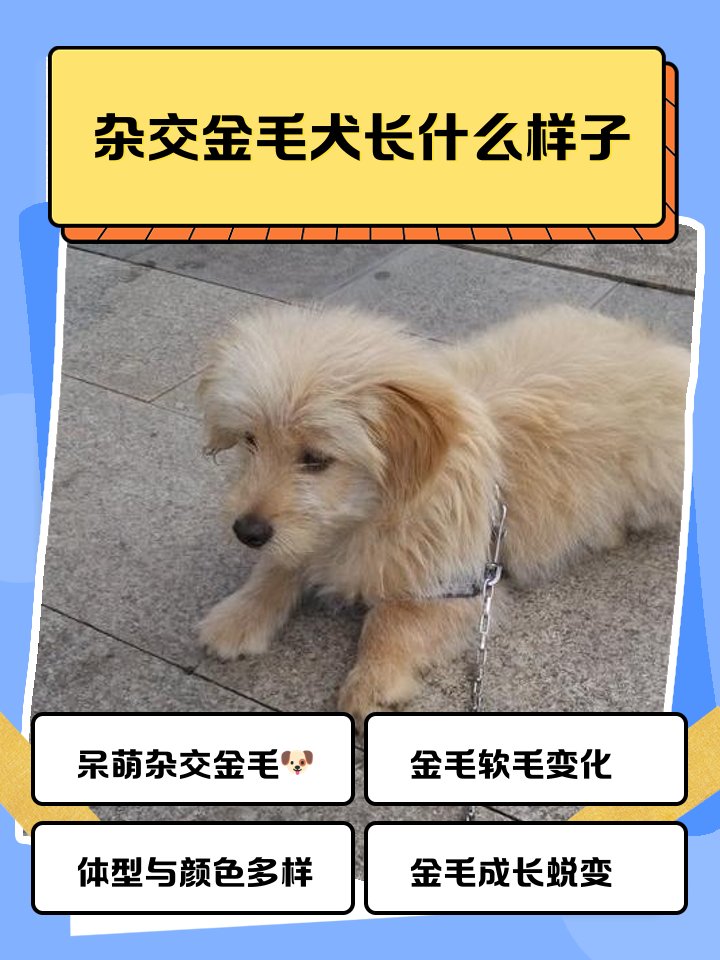 dansy quincy tweet media