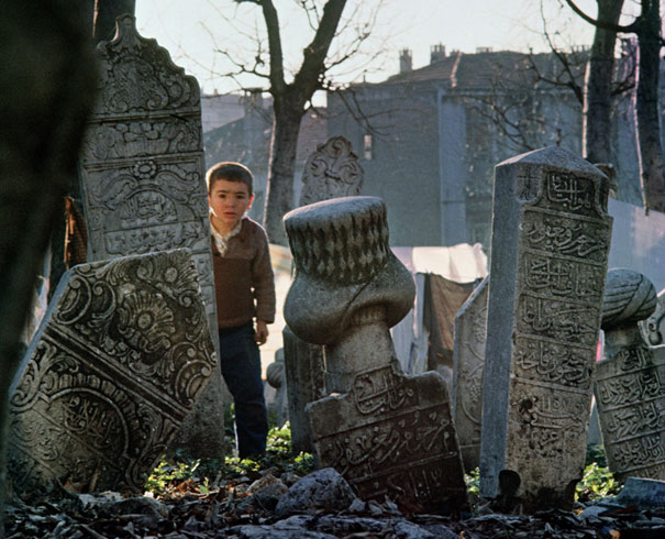 newnevbahar tweet media