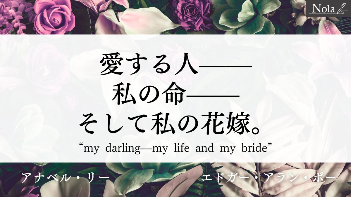 ギーク猫＠Nola tweet media
