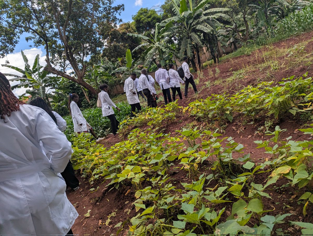 Muhunsa_MAK's tweet image. From classroom to real experience ✨
Makerere Nutrition students at Nalufenya , Jinja gaining hands-on skills in nutrition assessment.
Big thanks to SFTNB, our dean &amp;amp; lecturers for the blended learning experience 🙌🏾
#MUHUNSA #NutritionInAction
#StudentLife