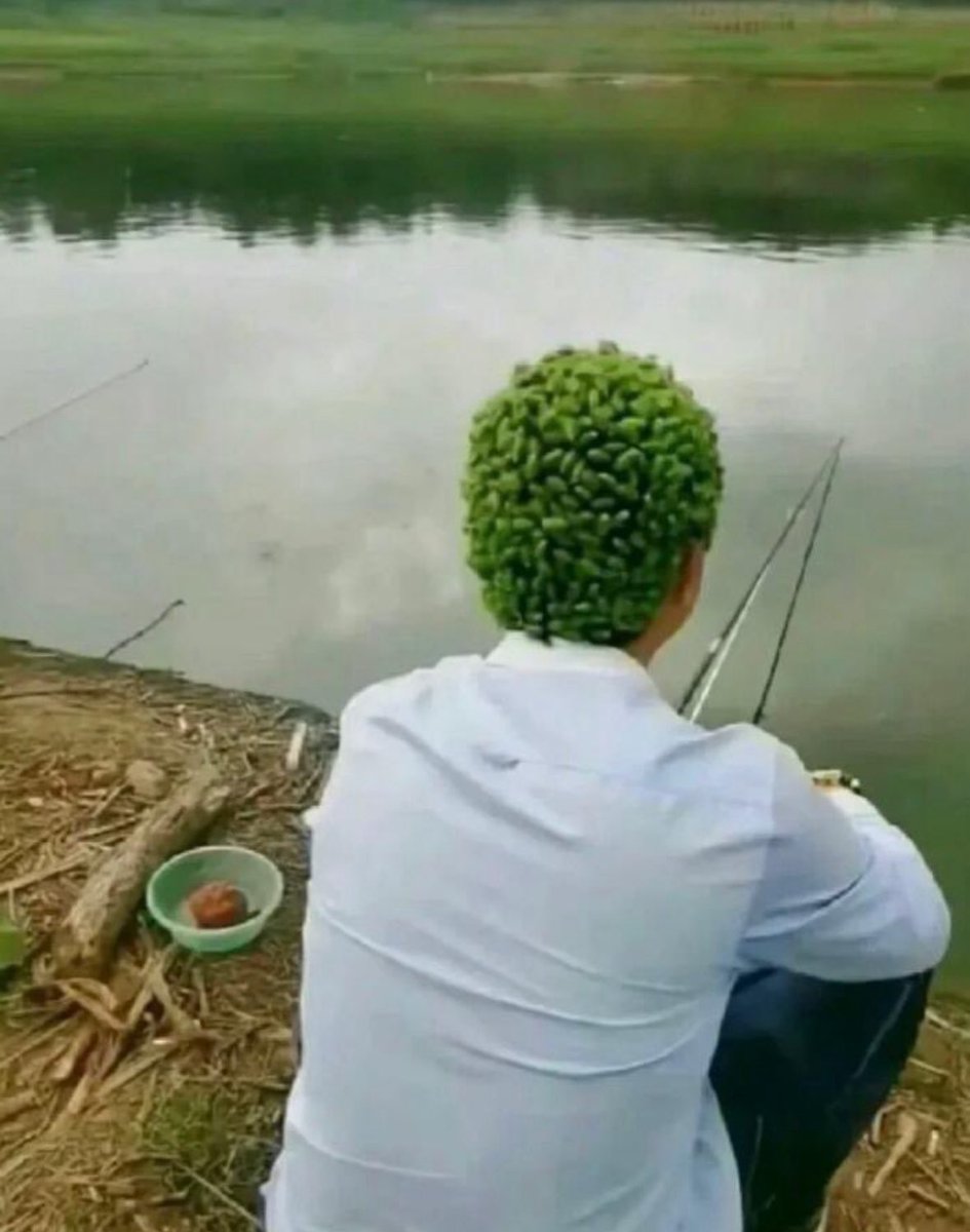 ネットで話題のツイ図鑑 tweet media