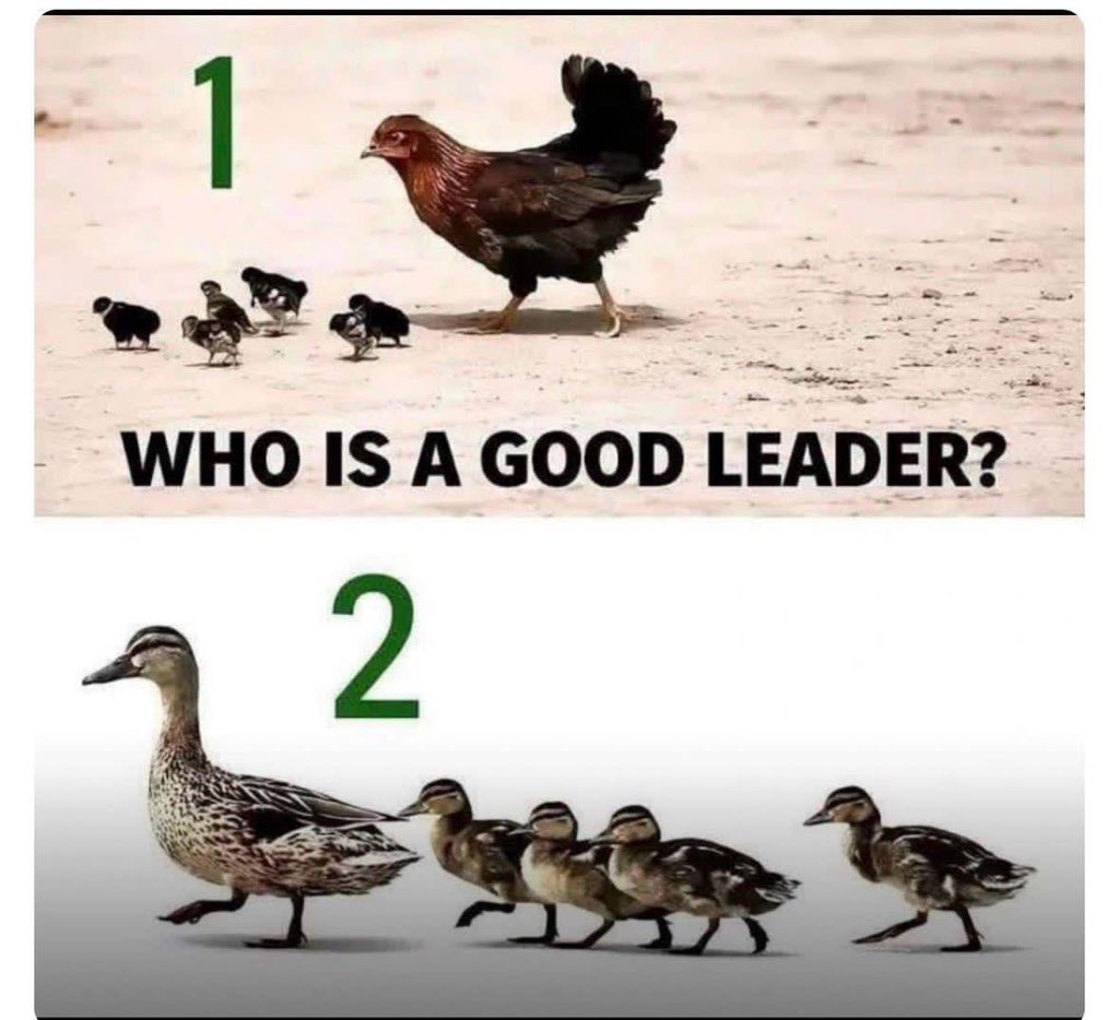 Olúwatósìn Olaseinde tweet media