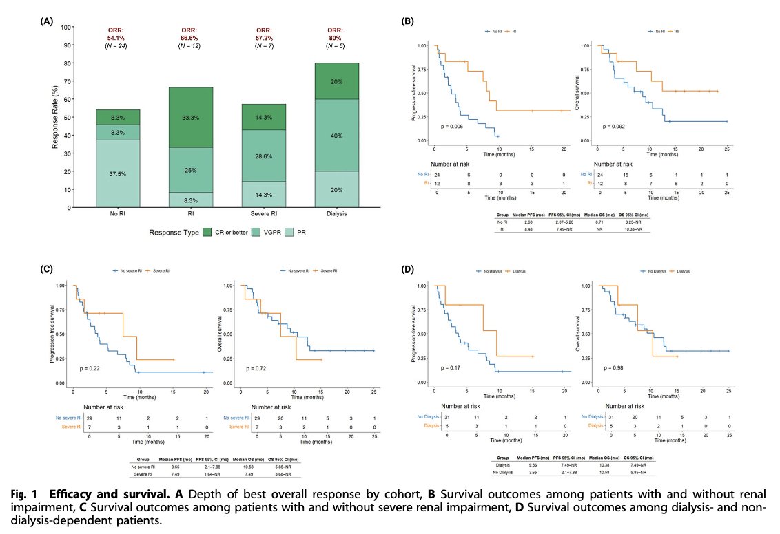Myeloma_Doc's tweet photo. #Myeloma Paper of the Day: Case series of relapsed/refractory myeloma pts w/ renal impairment treated w/ talquetamab finds ORR at day 30 was 6/12 (50%), median PFS 8.48 months and good OS w/ manageable toxicity even in dialysis-dependent patients: https://t.co/NFWYQTPJTu. #mmsm https://t.co/uptCIhXuzl