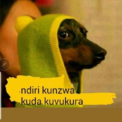 Chitandare Makombe tweet media
