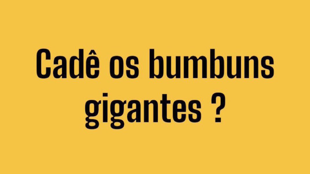 diogourso33 tweet media