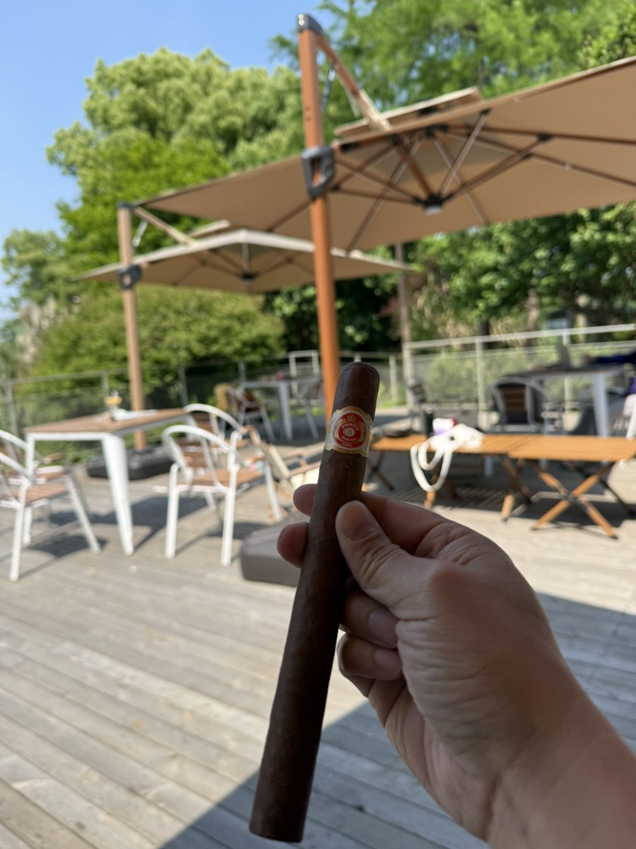 Cigar King(杰总) tweet media