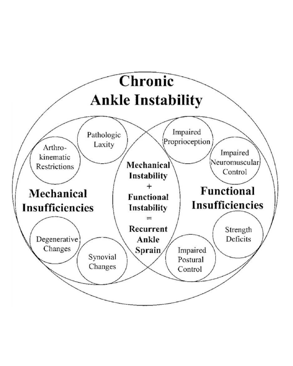 BoneJointRes's tweet image. Integrating biomechanical and molecular insights can optimize ankle sprain management. Future research should explore mechanoimmunomodulatory therapies to break the cycle of instability and degeneration.

#AnkleSprain #Injury #Trauma #Research #BJR

ow.ly/WJGO50YP9mh